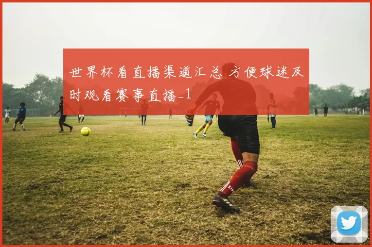 世界杯看直播渠道汇总 方便球迷及时观看赛事直播_1