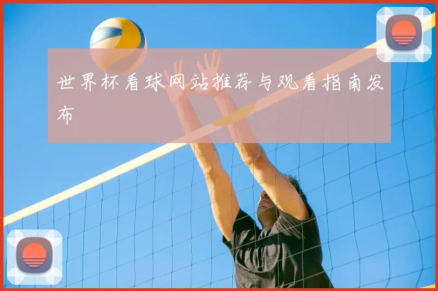 世界杯看球网站推荐与观看指南发布