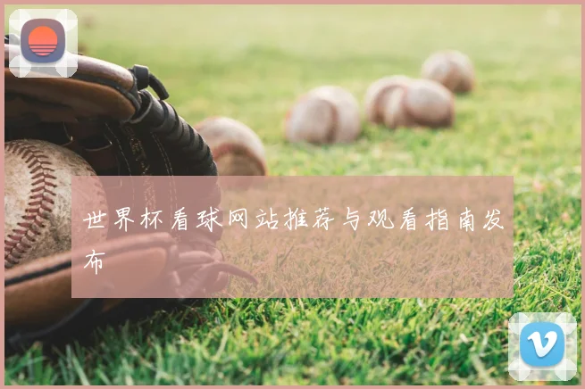 世界杯看球网站推荐与观看指南发布