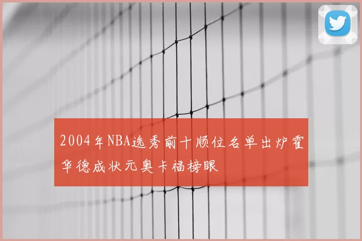 2004年NBA选秀前十顺位名单出炉霍华德成状元奥卡福榜眼