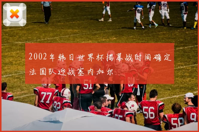 2002年韩日世界杯揭幕战时间确定法国队迎战塞内加尔