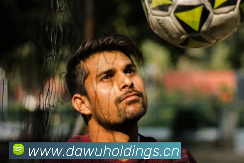 世界杯中国官网平台生态图