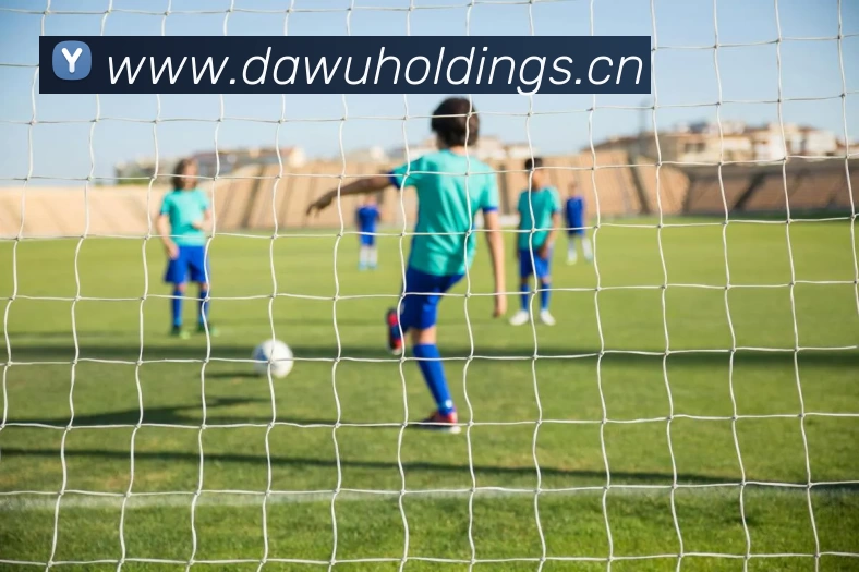 数据防护可视化